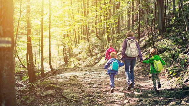 Family walking trails - mum and kids in forest